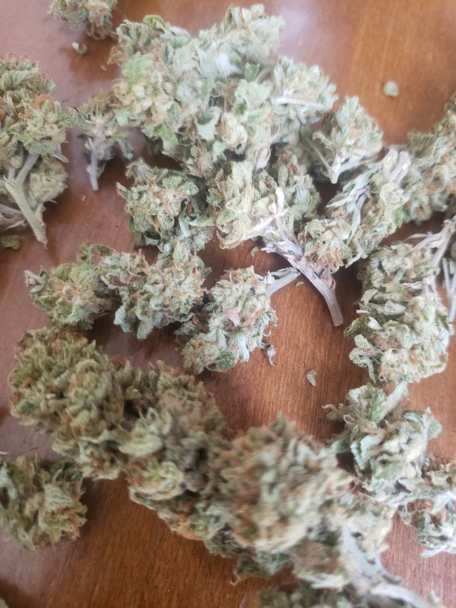 Photo of Panama Red