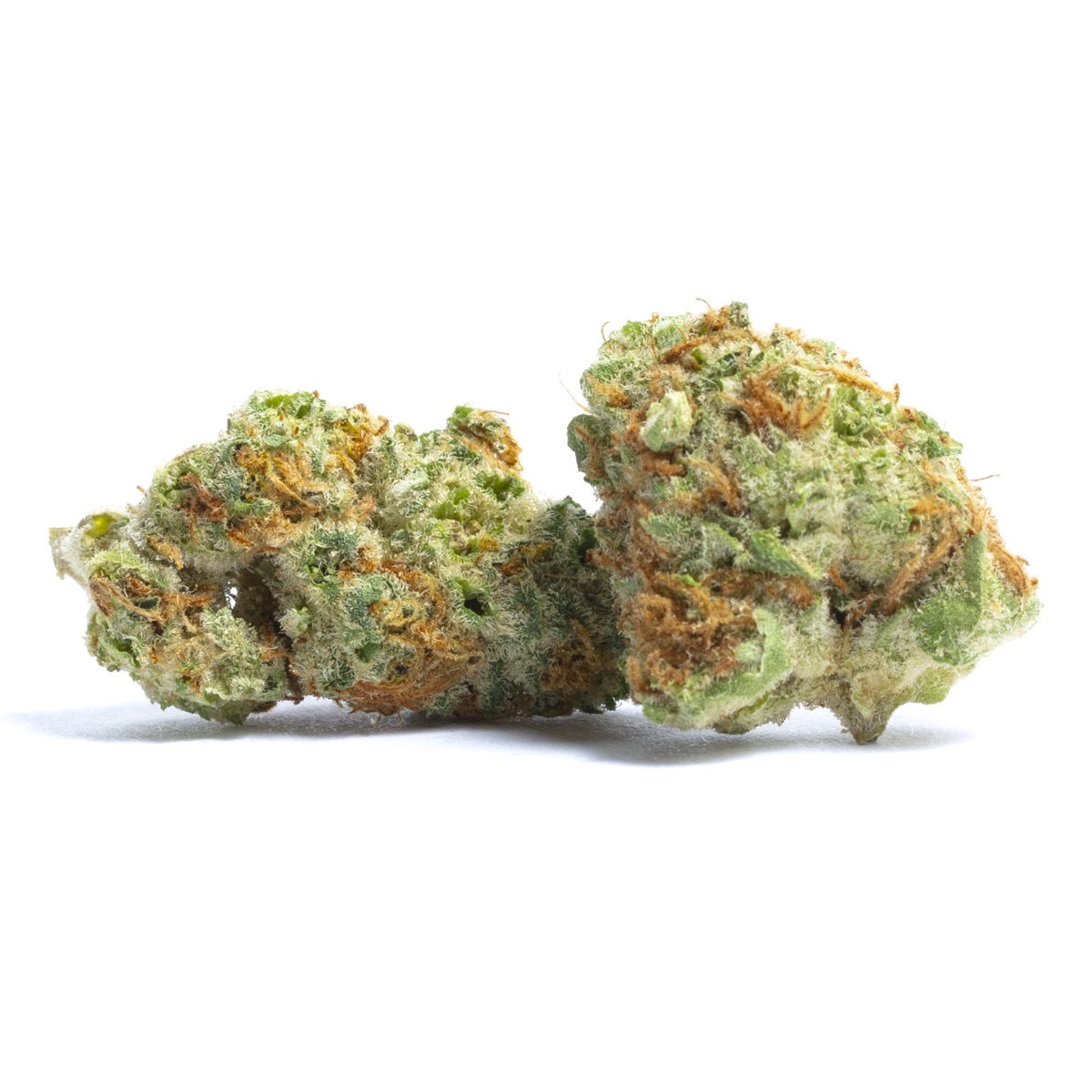 Photo of Papaya