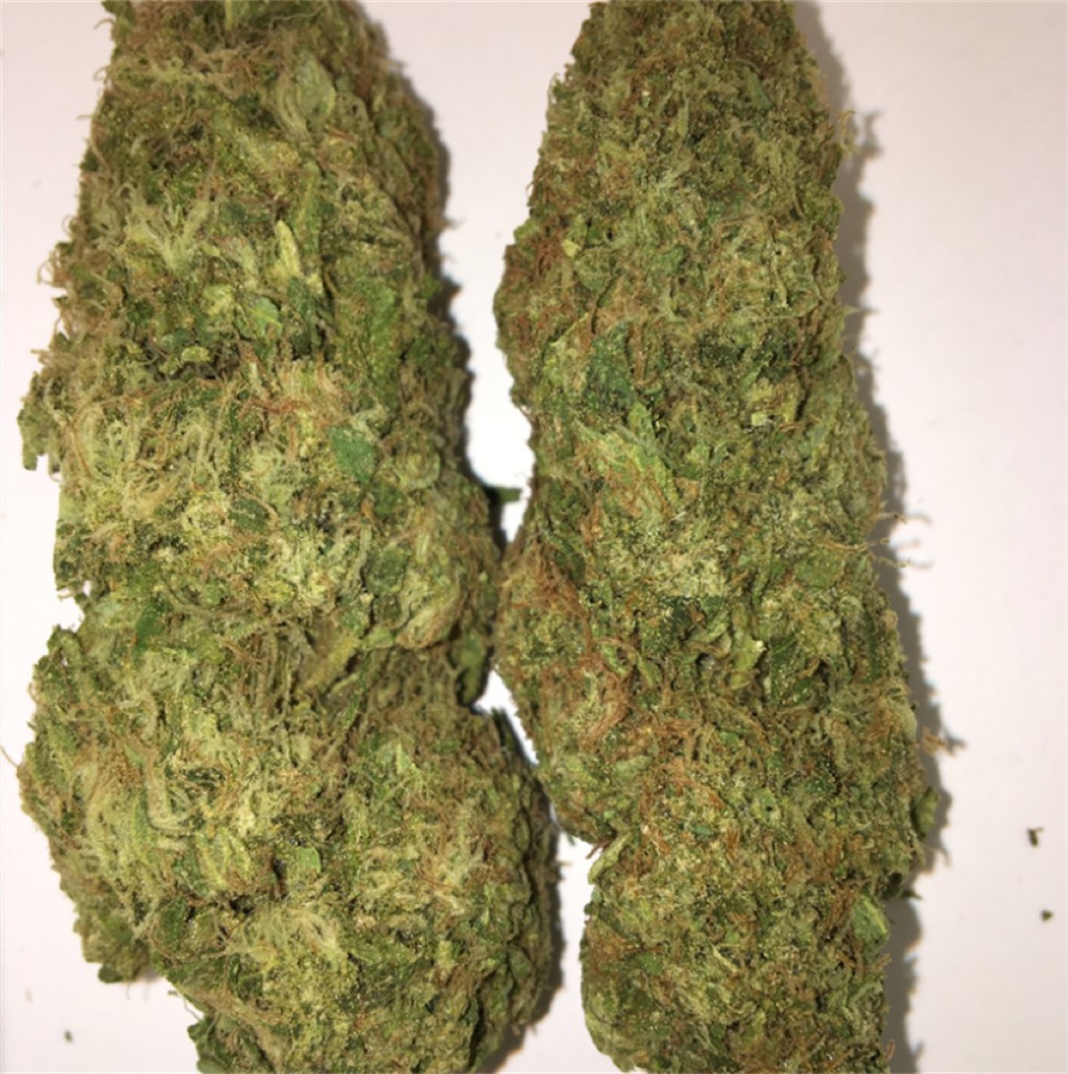Photo of Pineapple Jack
