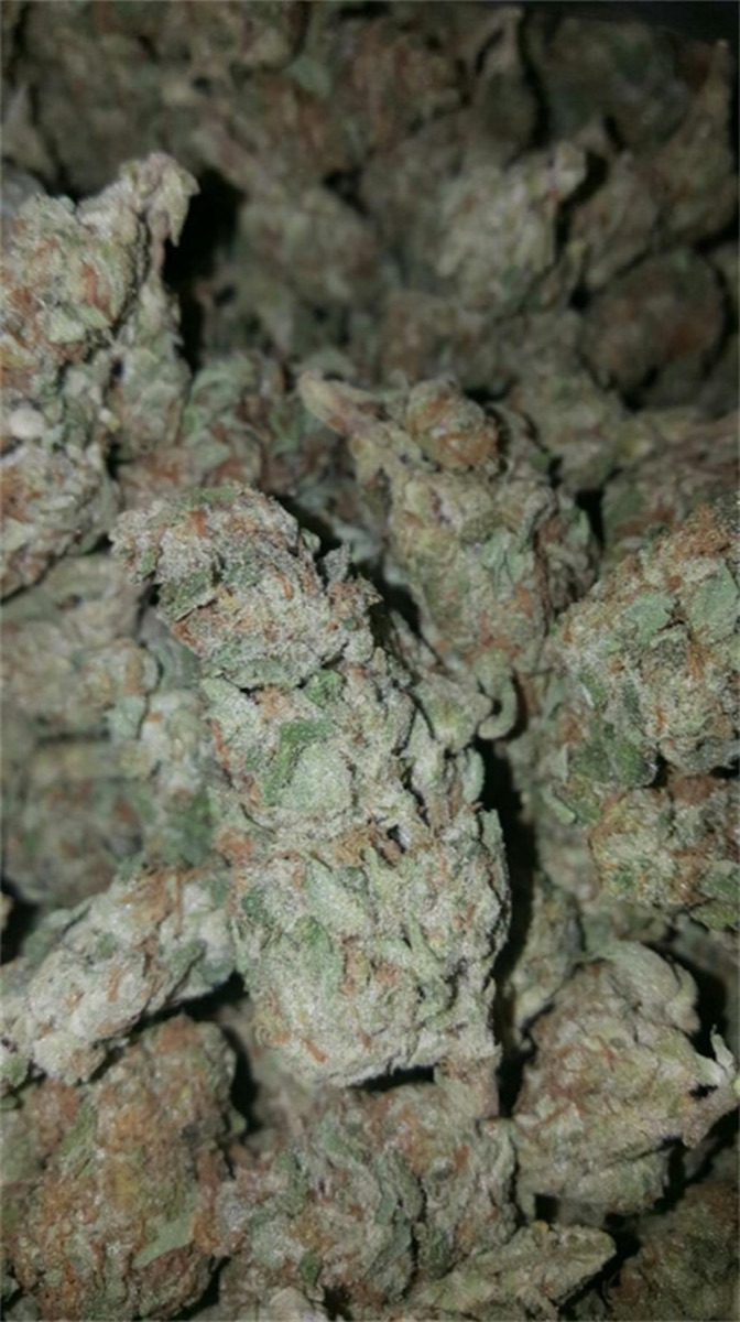 Photo of Pineapple Kush
