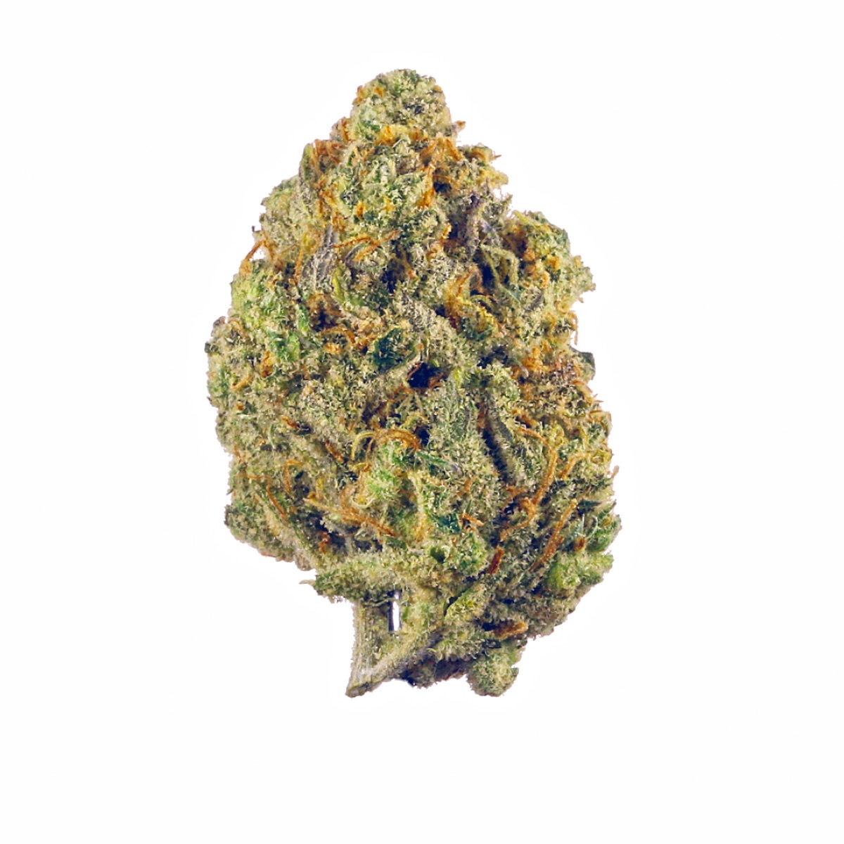 Photo of Pink Gelato