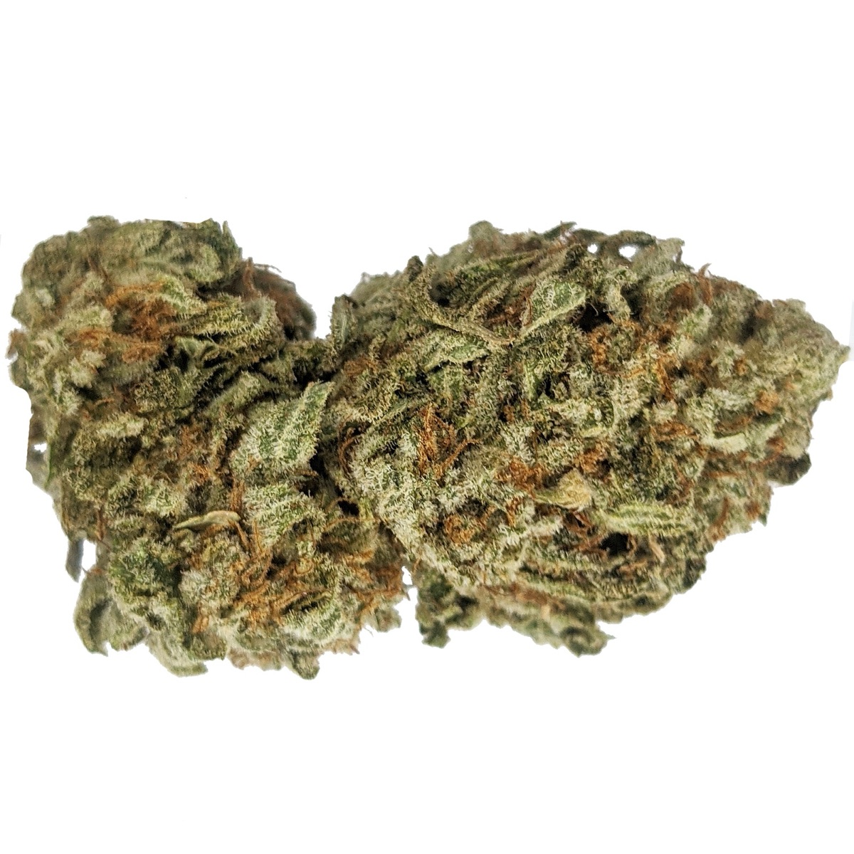 Photo of Pink Gorilla