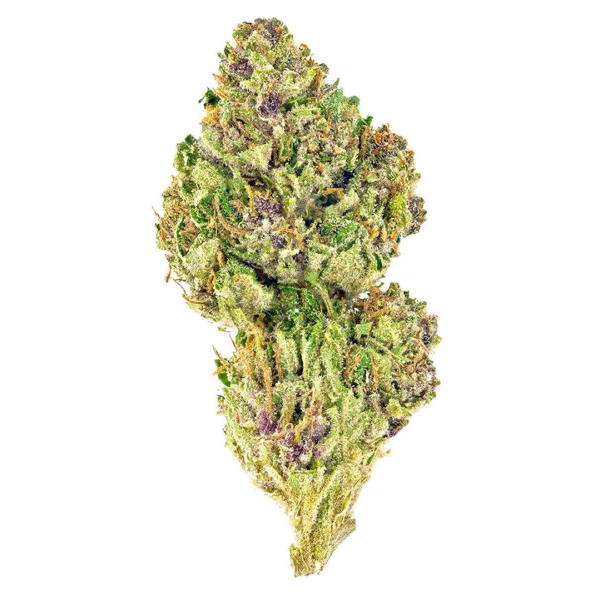 Photo of Pink Kush