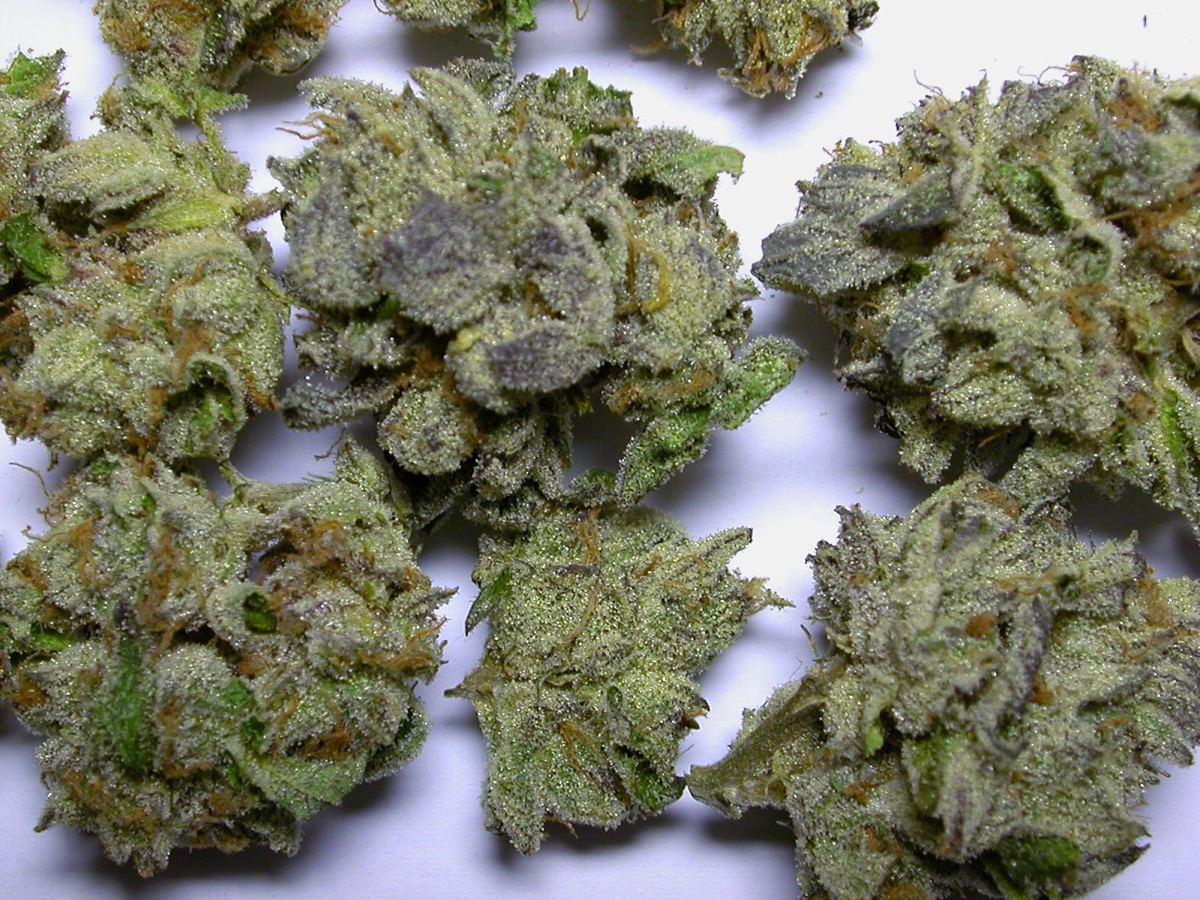 Photo of Platinum Cookies