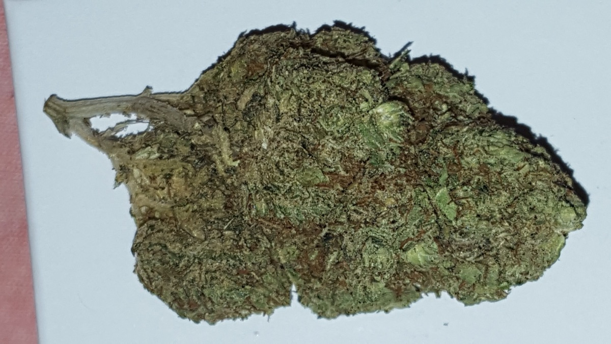 Photo of Presidential OG