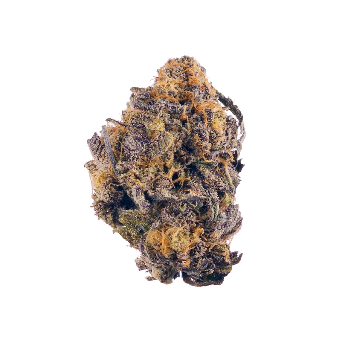Photo of Purple Kush