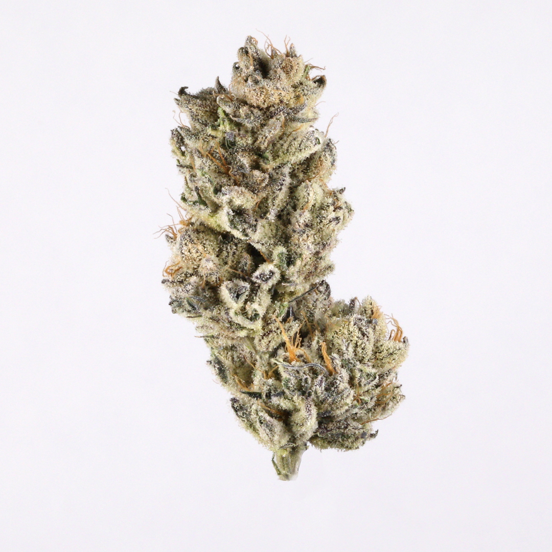 Photo of Purple Punch