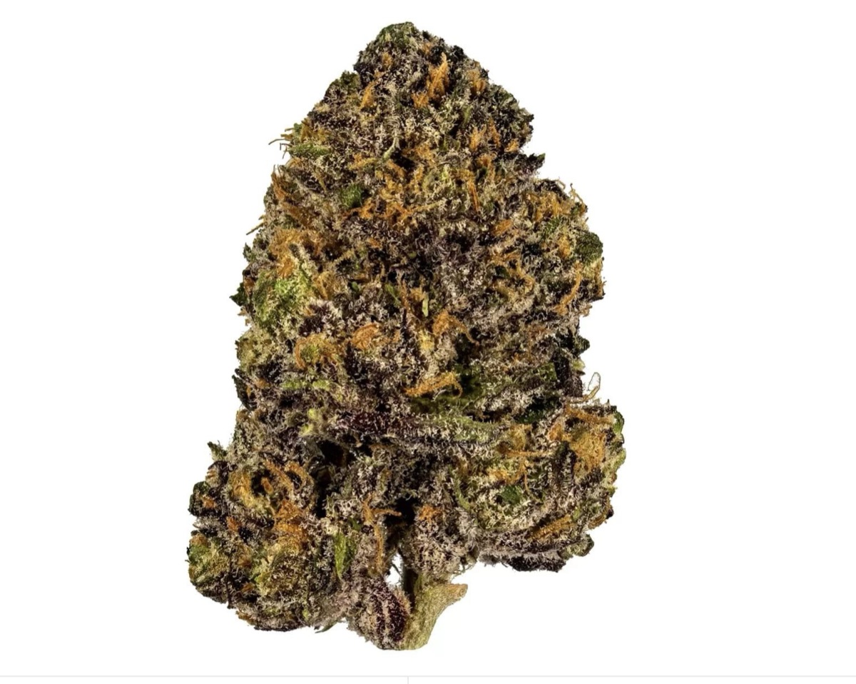 Photo of Purple Queen