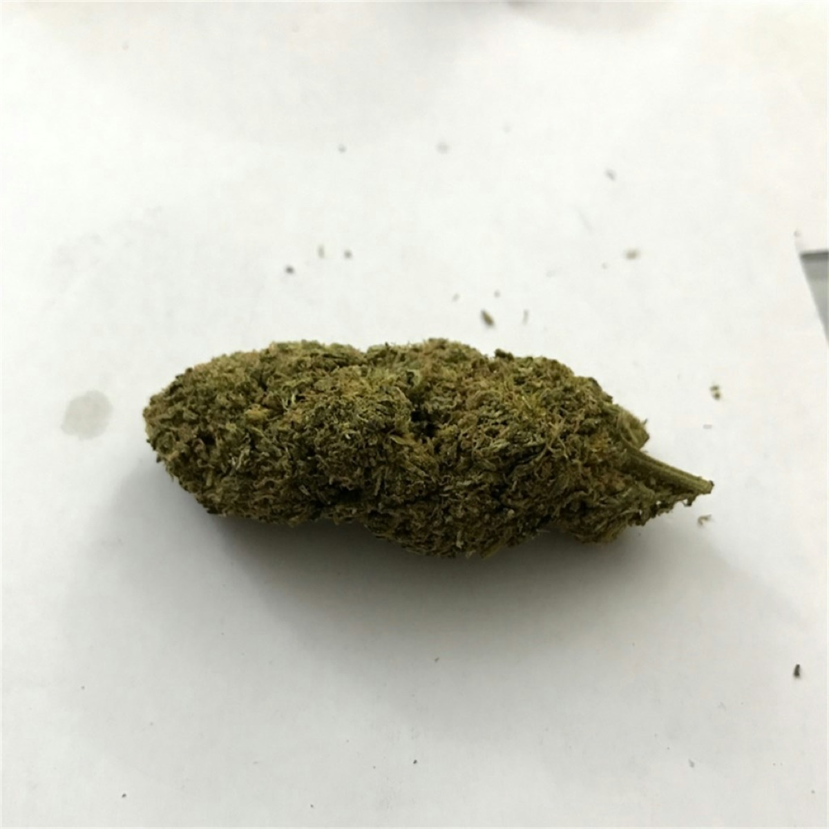 Photo of Purple Thai