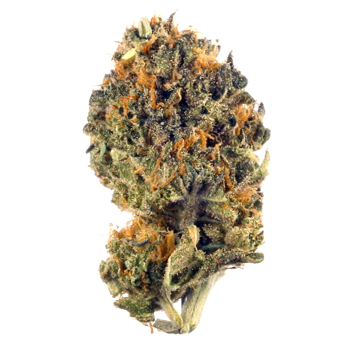 Photo of Purple Trainwreck