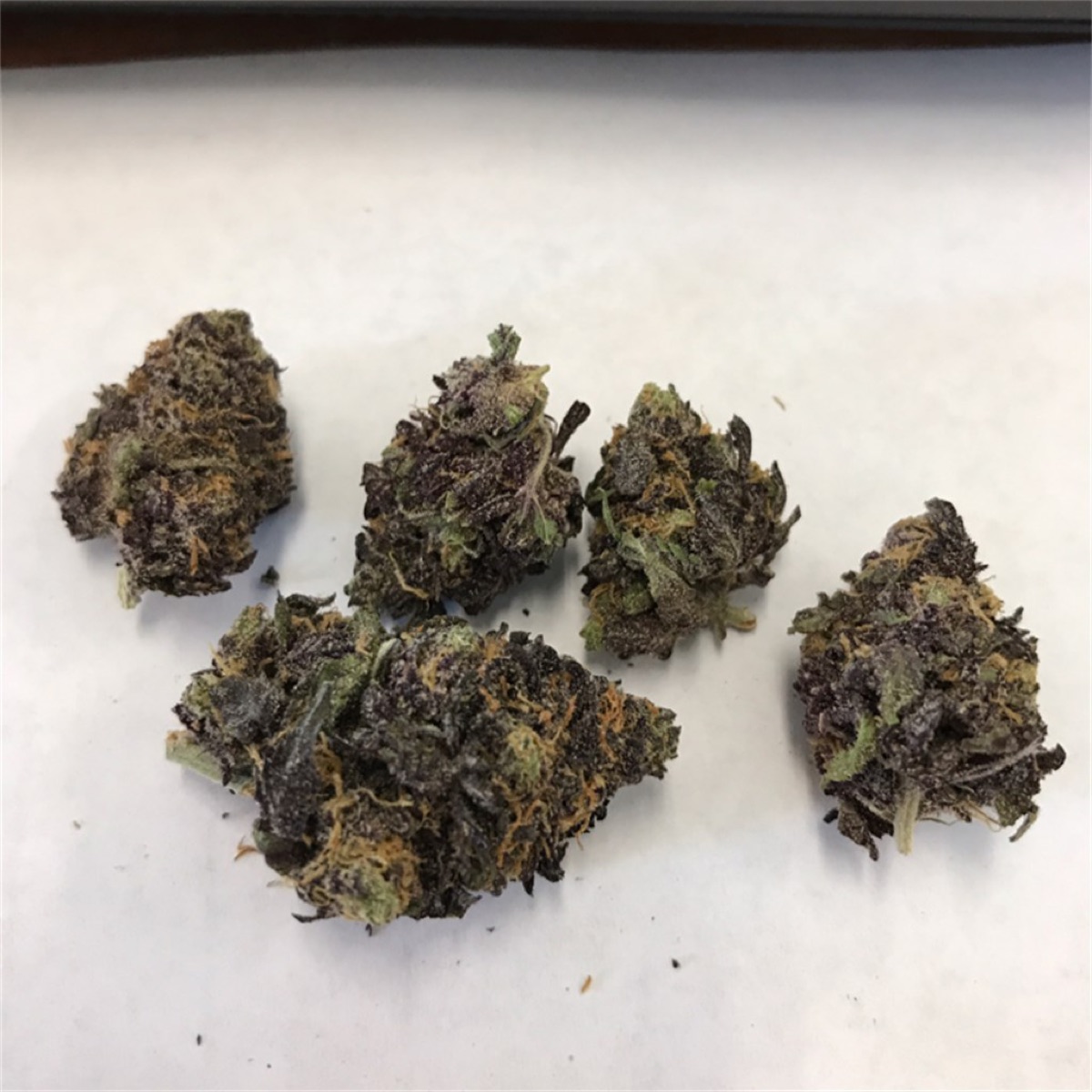Photo of Purple Urkle