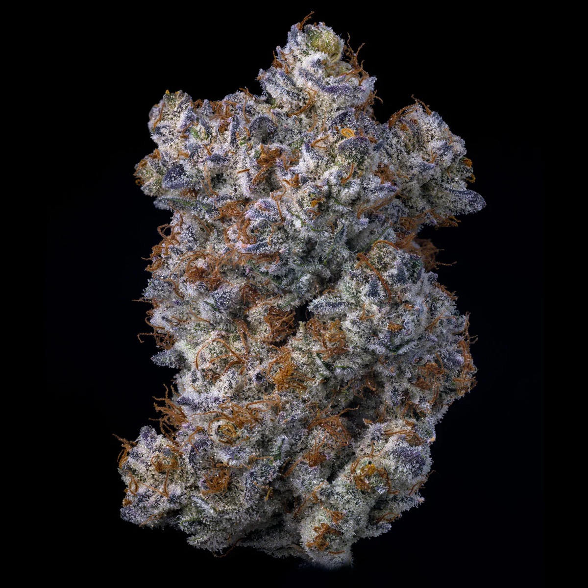 Photo of Querkle