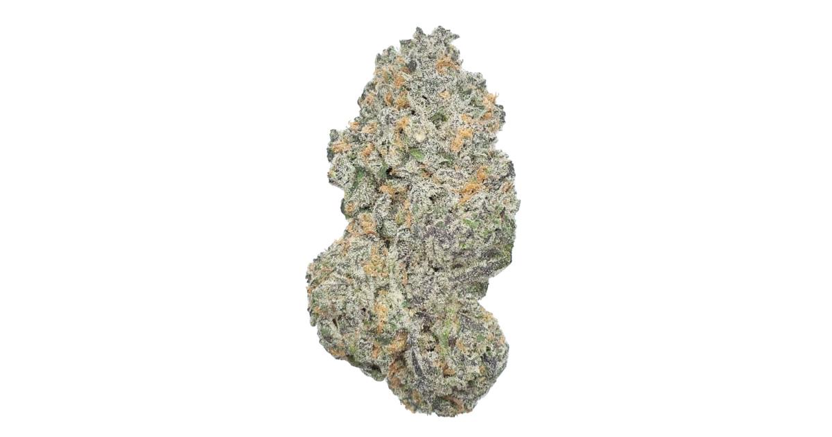 Photo of Raspberry Critical Kush