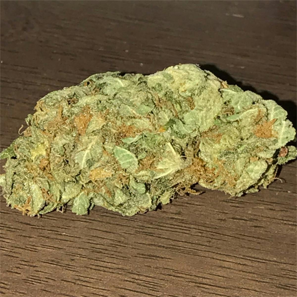 Photo of Romulan
