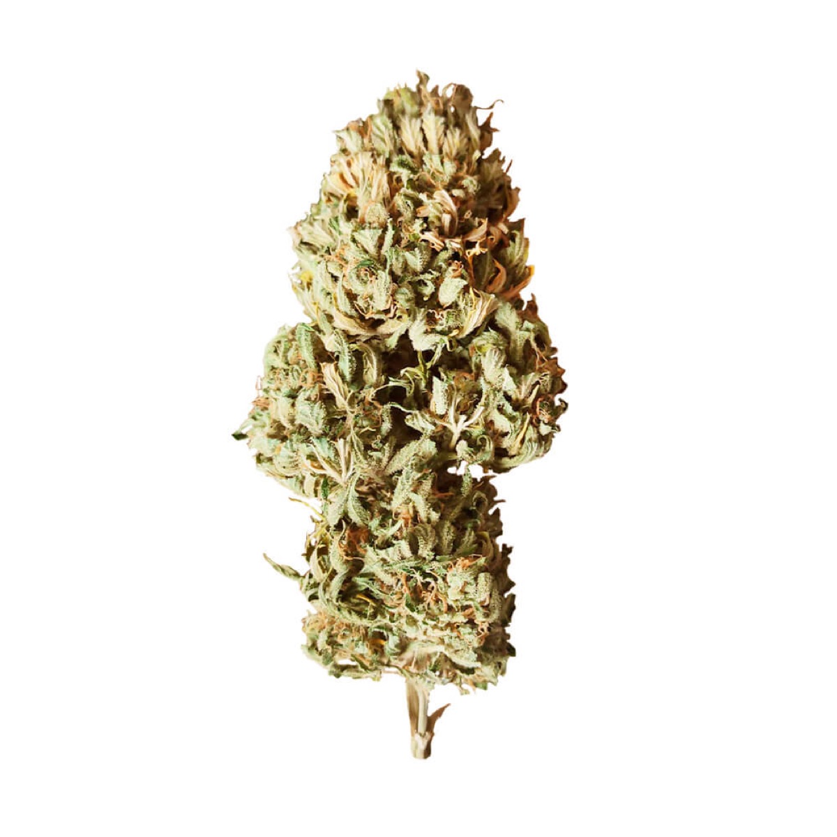 Photo of Royal AK Auto