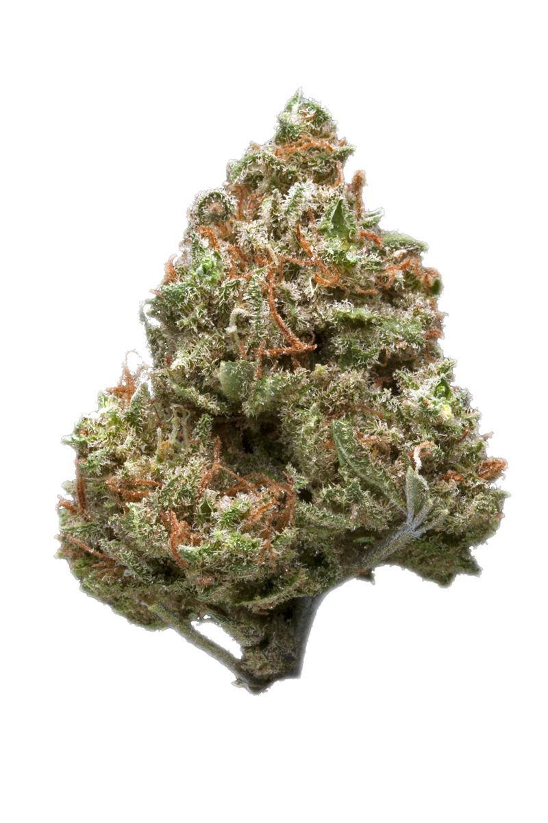 Photo of Royal Haze
