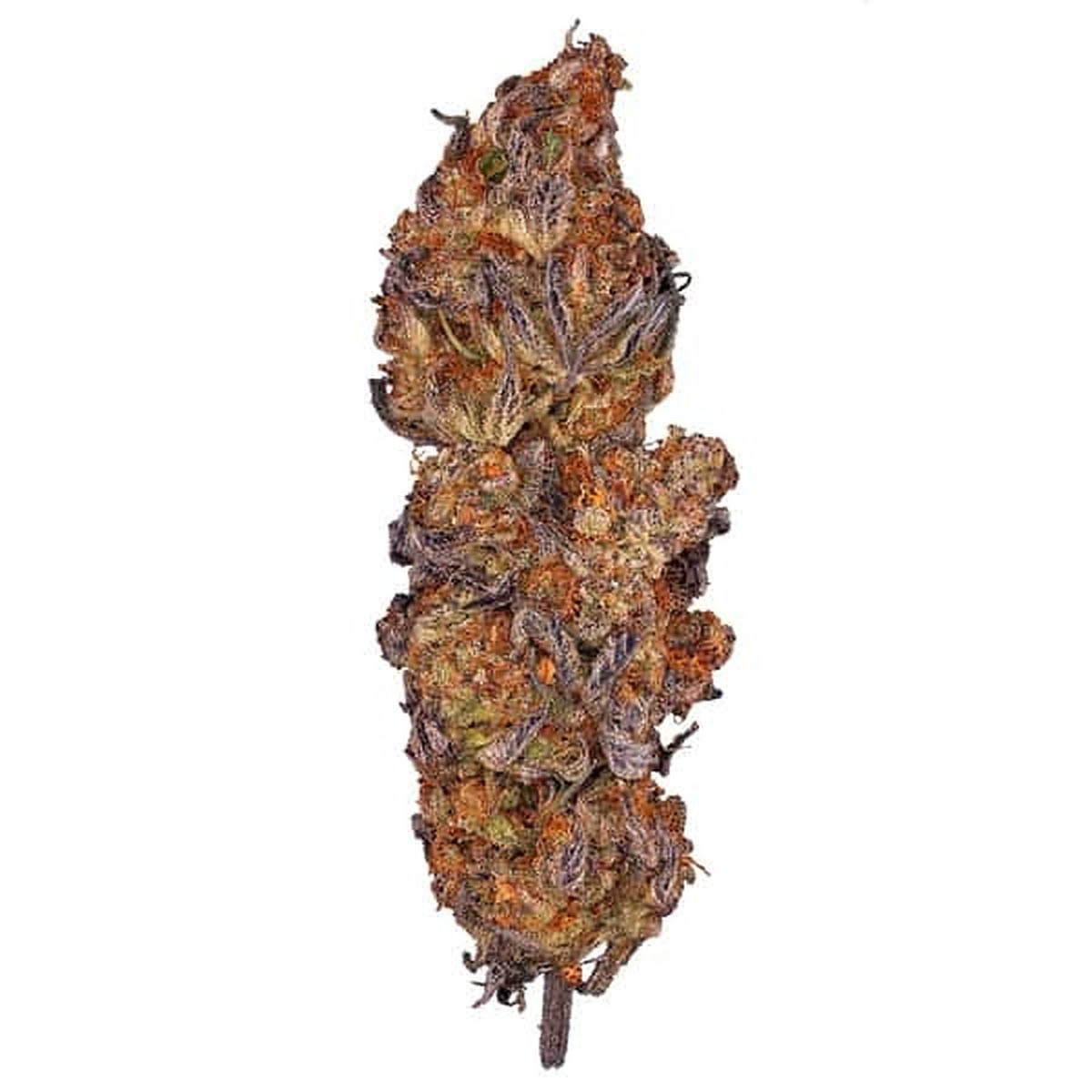 Photo of Runtz Auto
