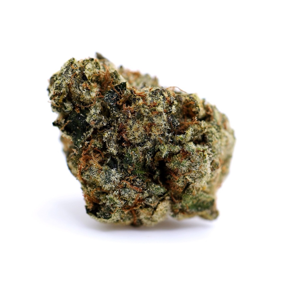 Photo of SFV OG
