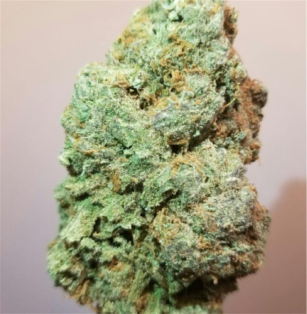 Photo of Silver Haze