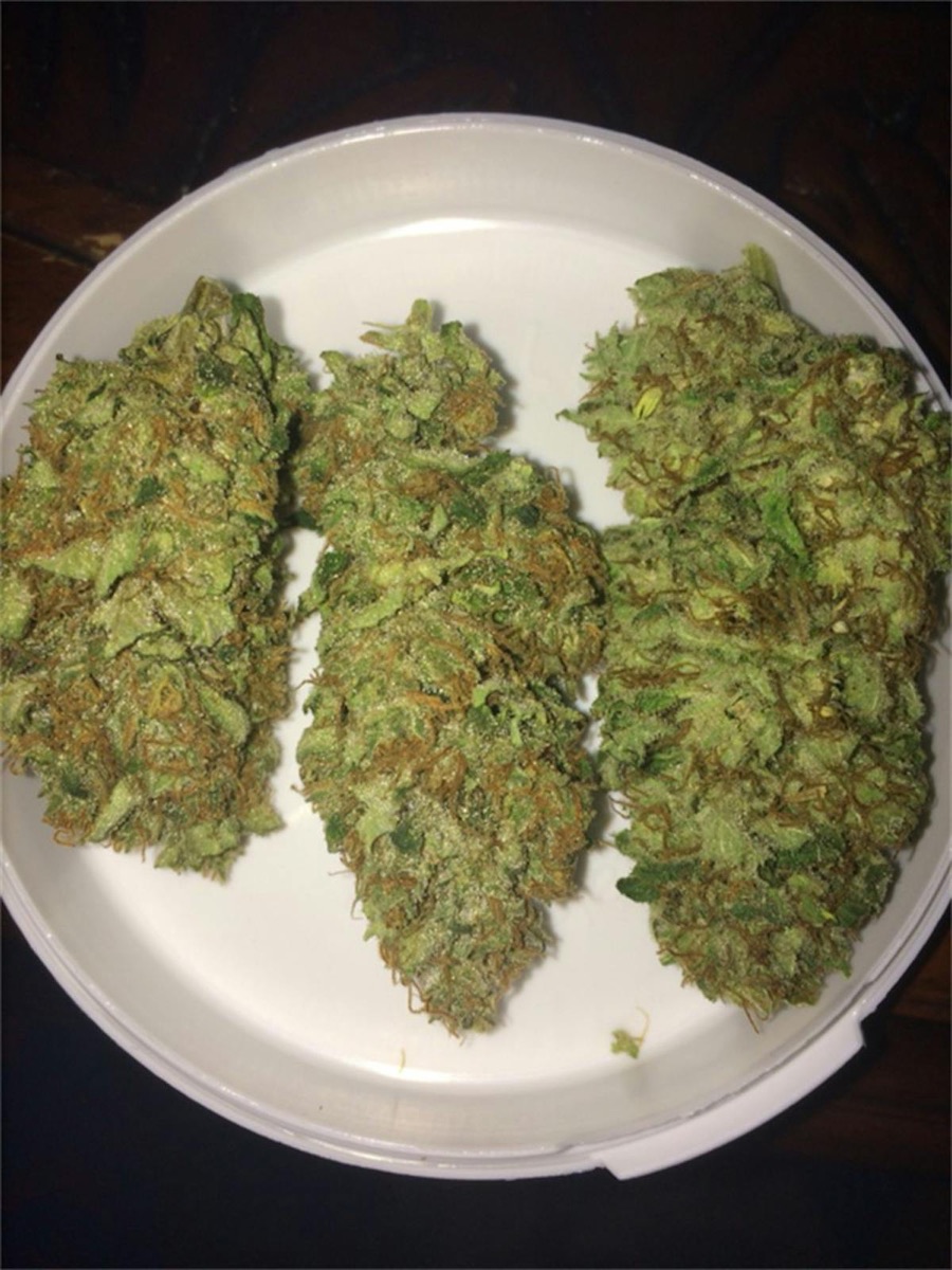 Photo of Skunk Haze