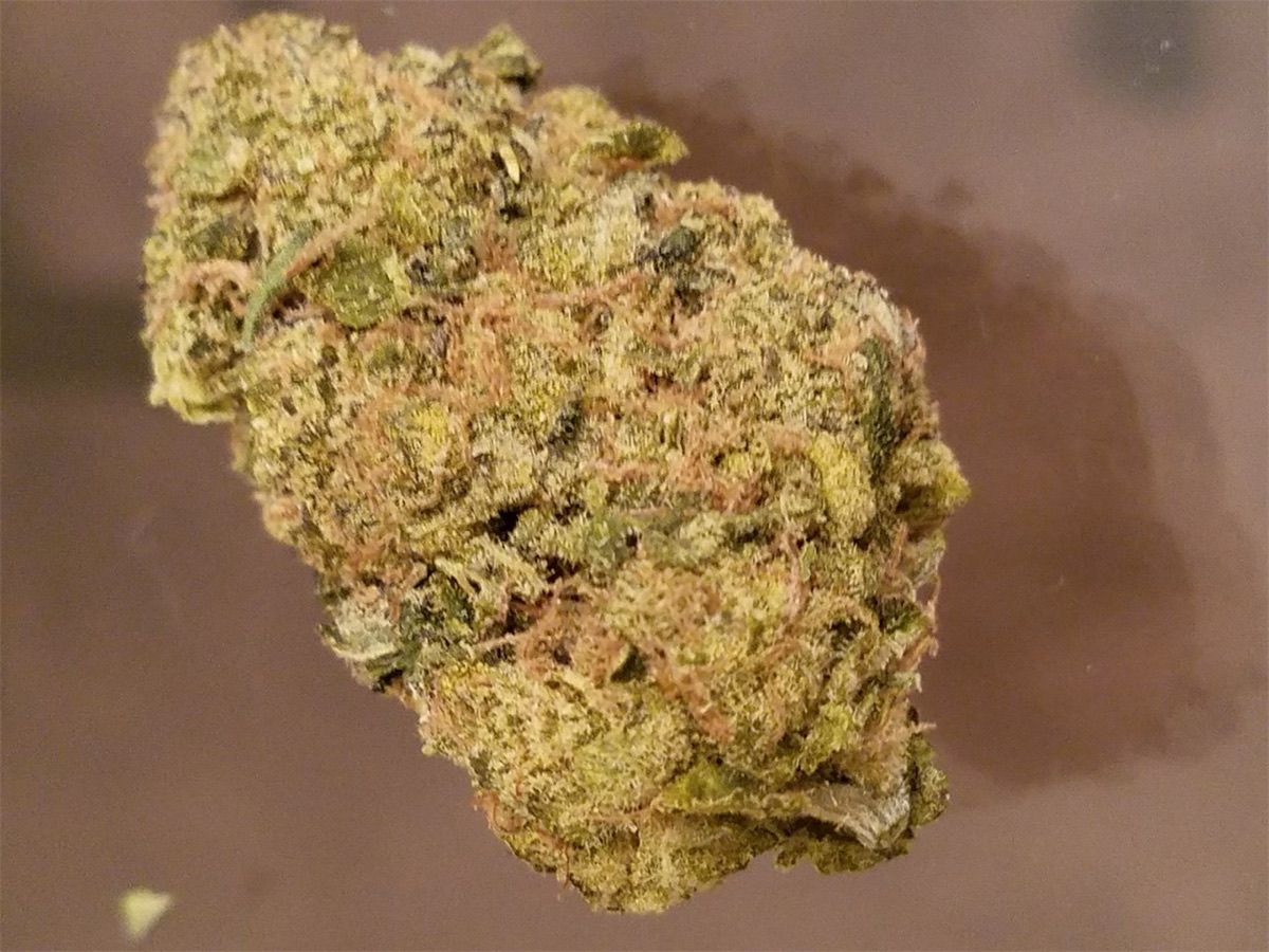 Photo of Skywalker OG