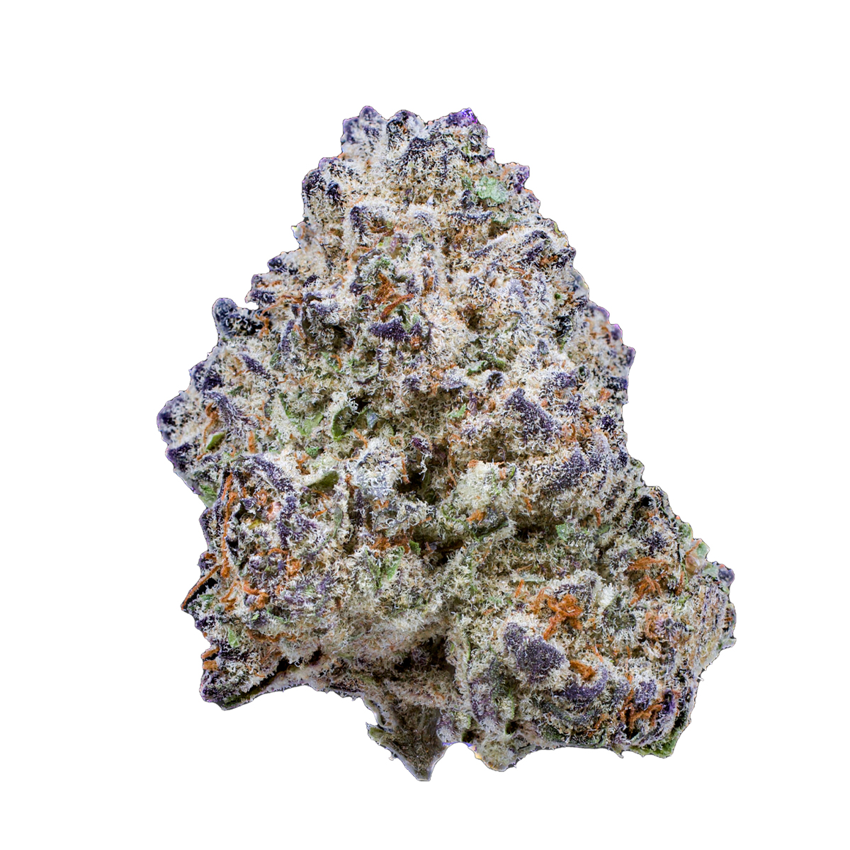 Photo of Slurricane