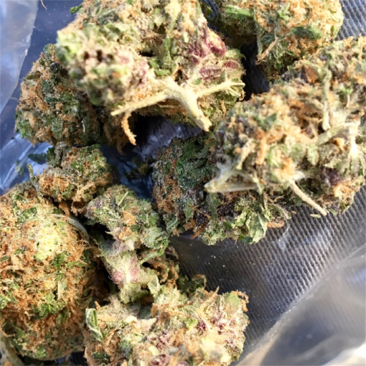 Photo of Sour Apple