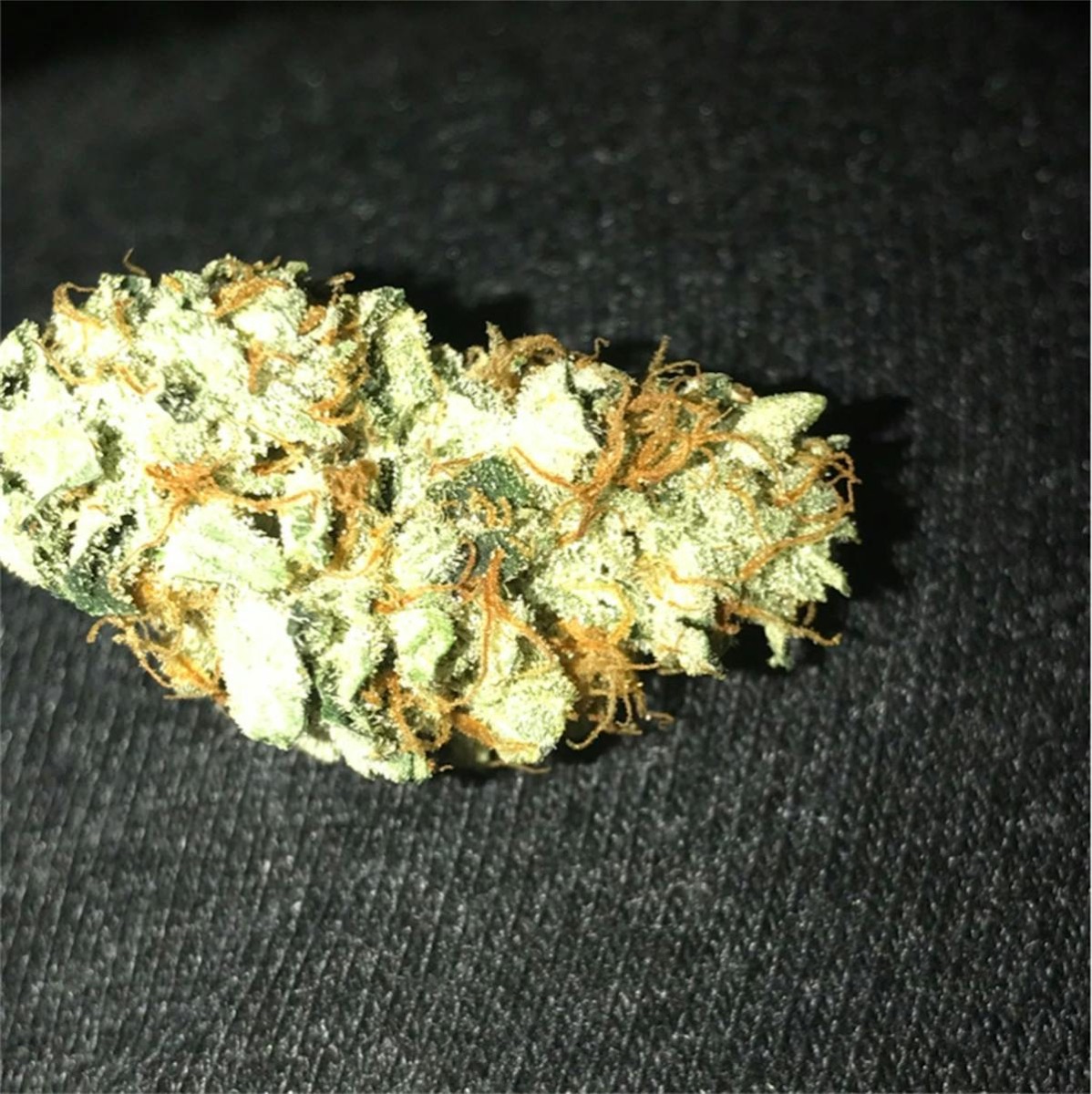 Photo of Sour Dubb