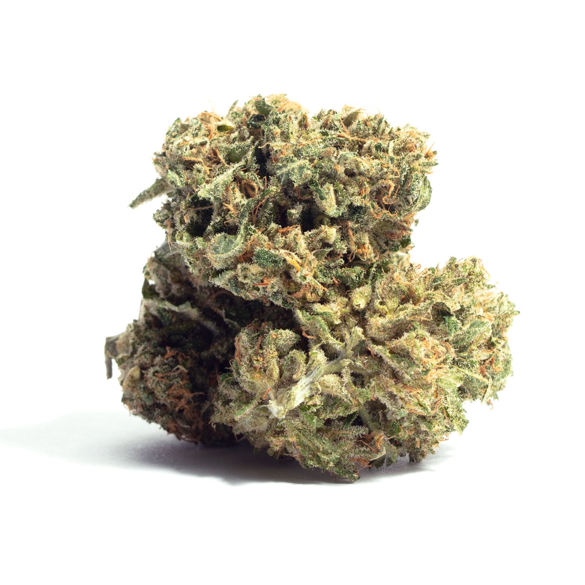 Photo of Sour Tsunami
