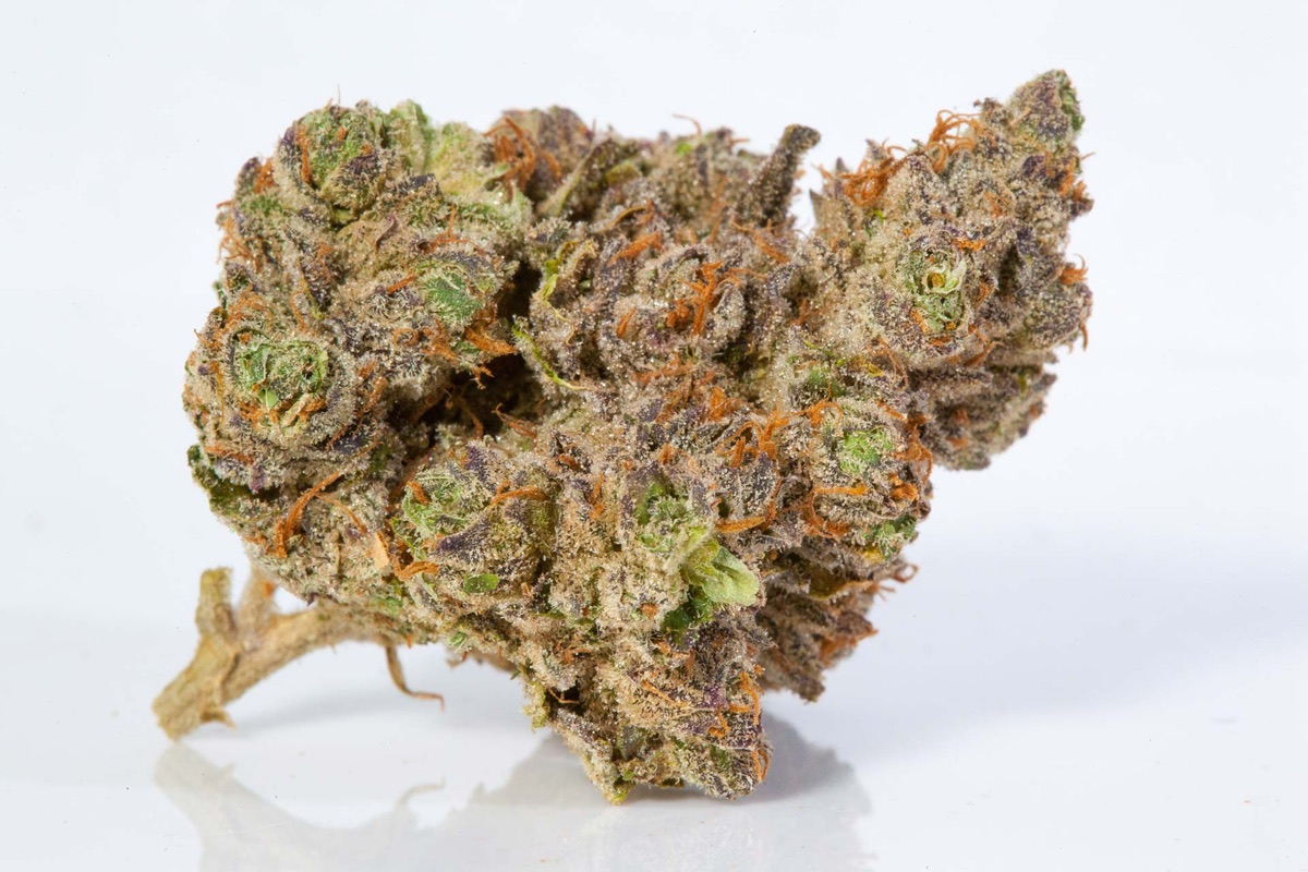 Photo of Stardawg