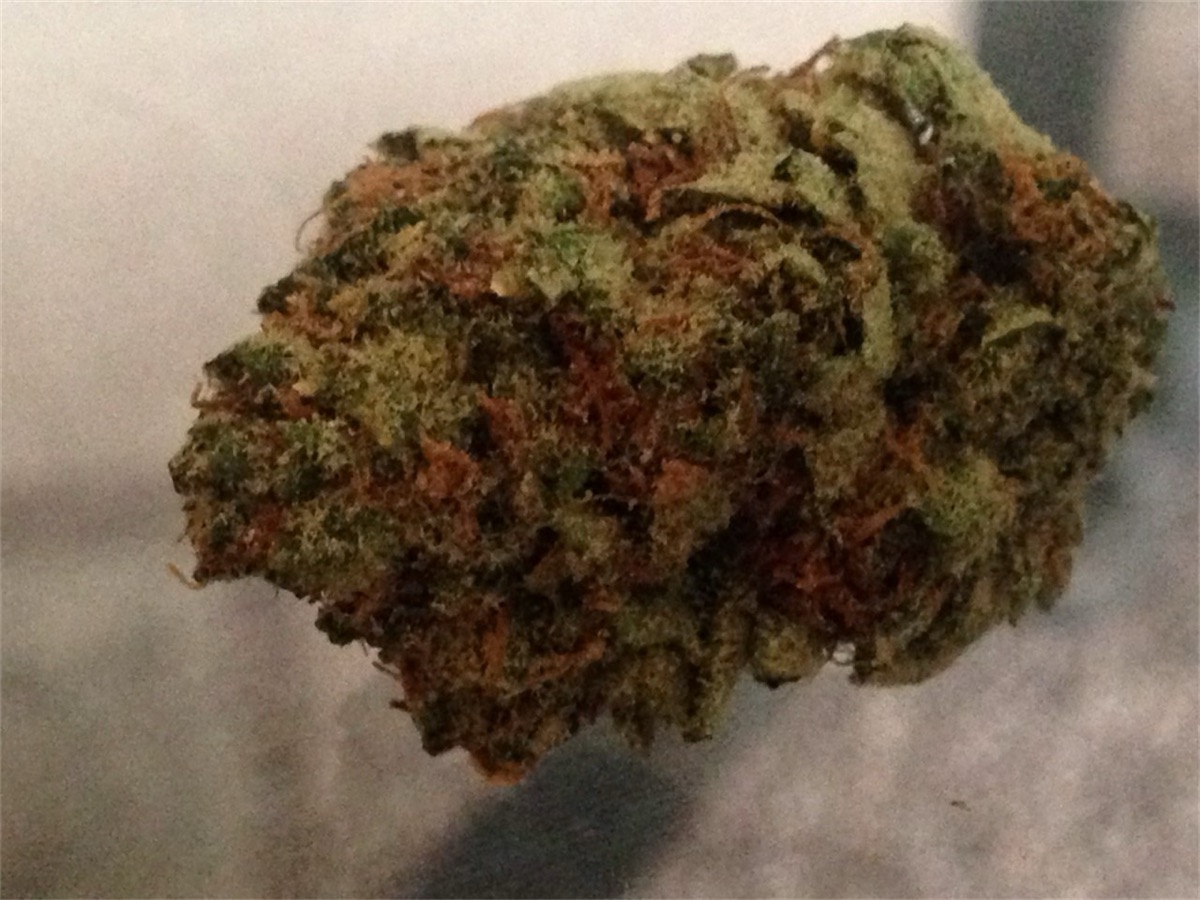 Photo of Starfighter