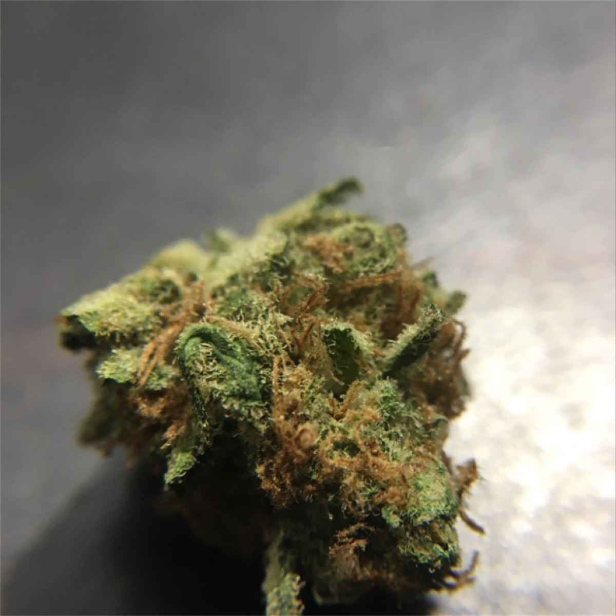 Photo of Strawberry Fields