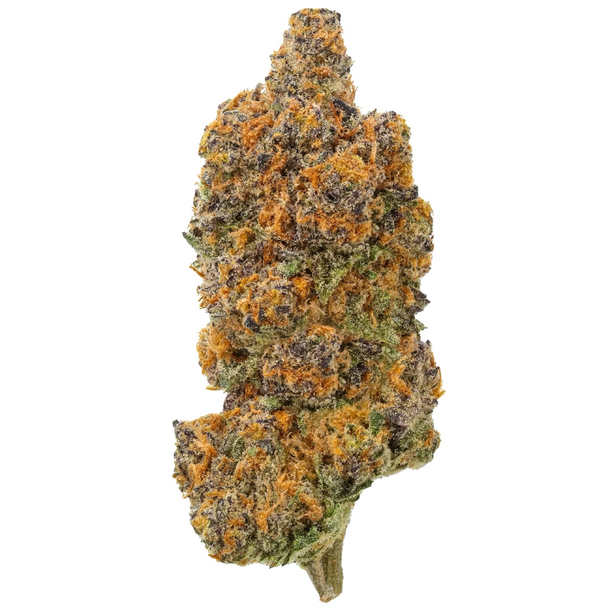 Photo of Sundae Driver