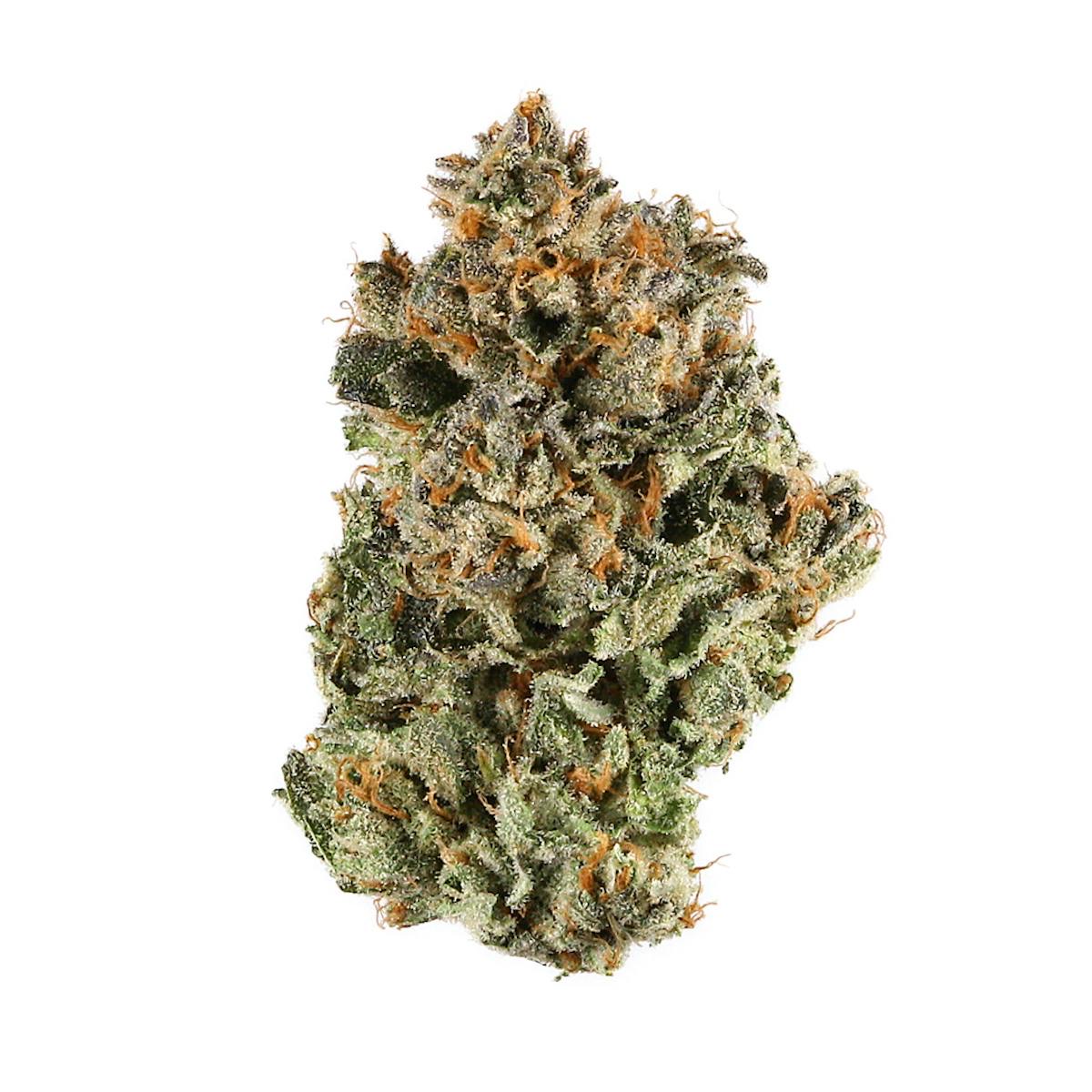 Photo of Sunset Sherbet
