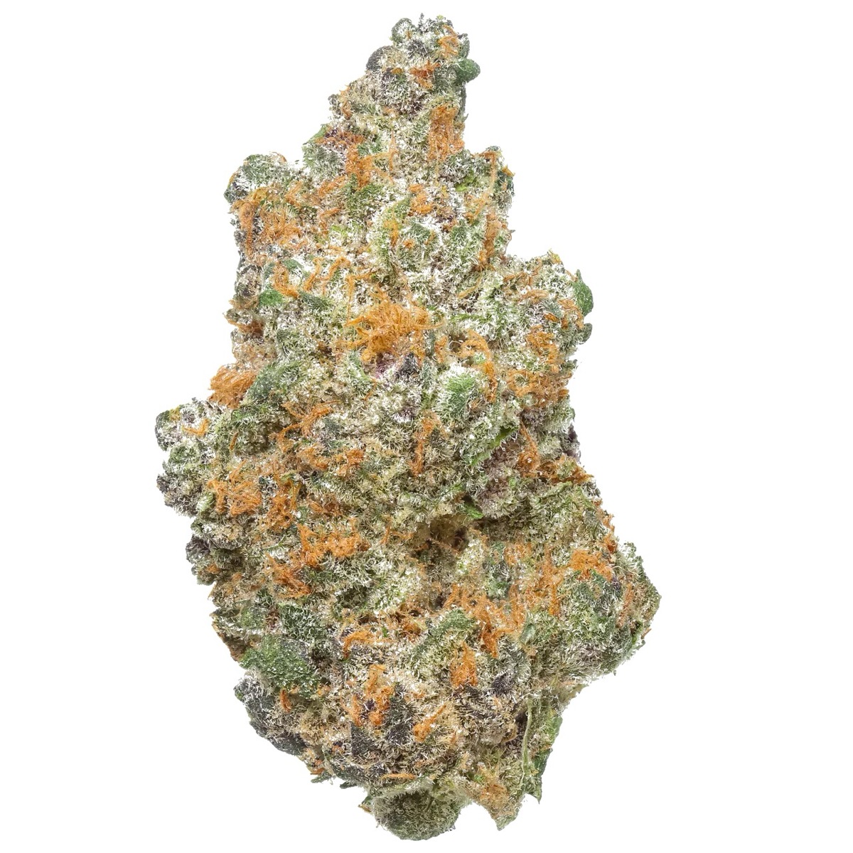 Photo of Super Boof