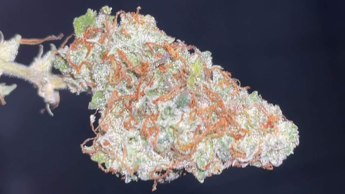 Photo of Sweet Tangerine Tango