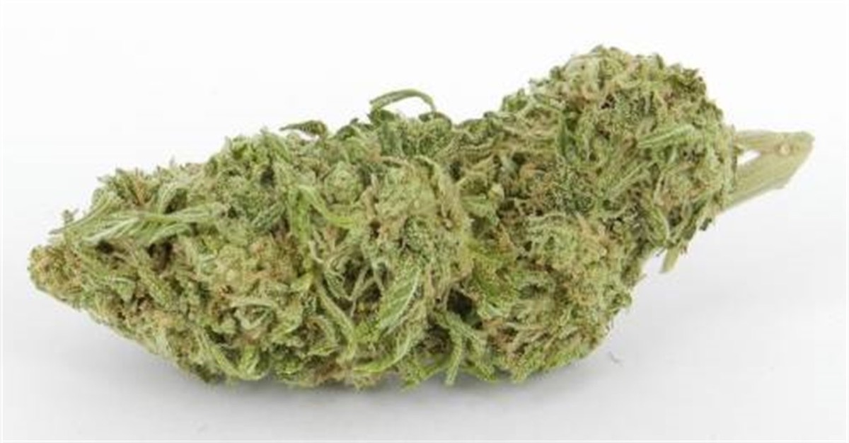 Photo of Swiss Landrace