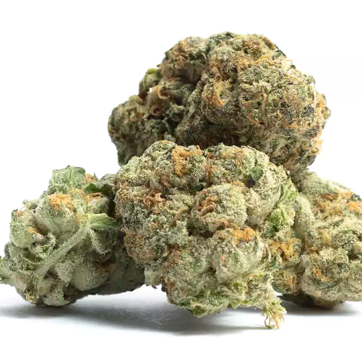 Photo of Thin Mint GSC