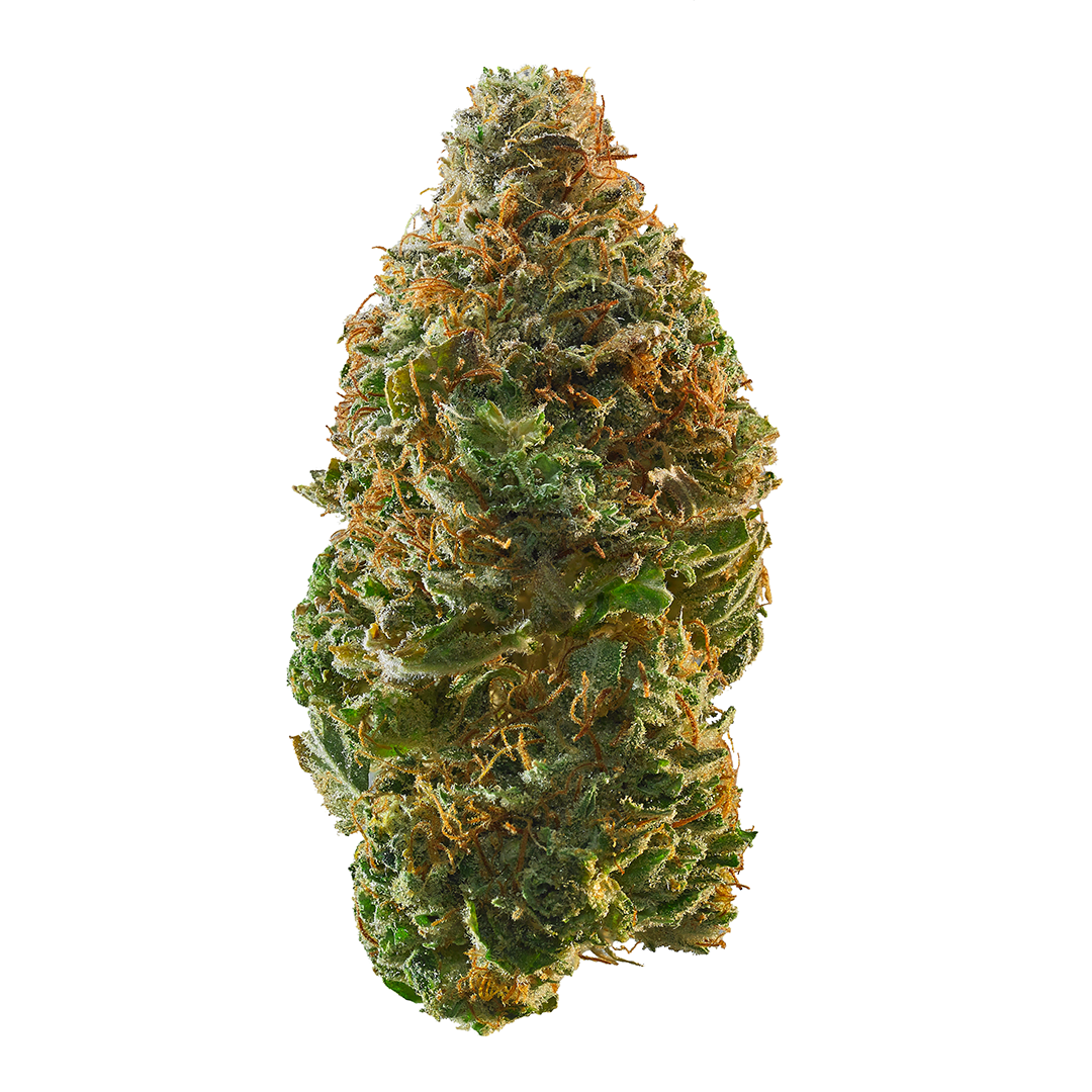 Photo of Trainwreck