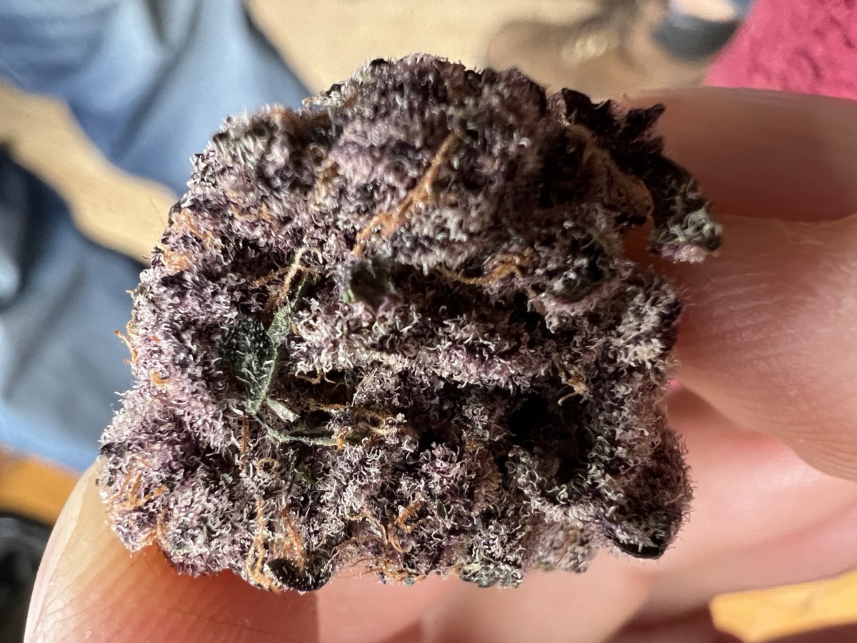 Photo of Tropicana Cherry