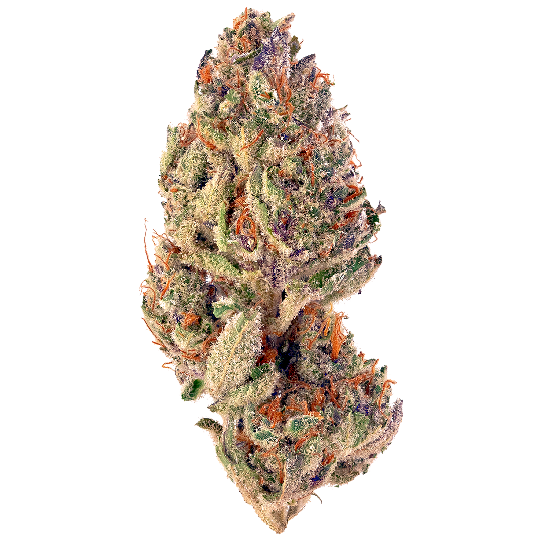 Photo of Tropicana Cookies