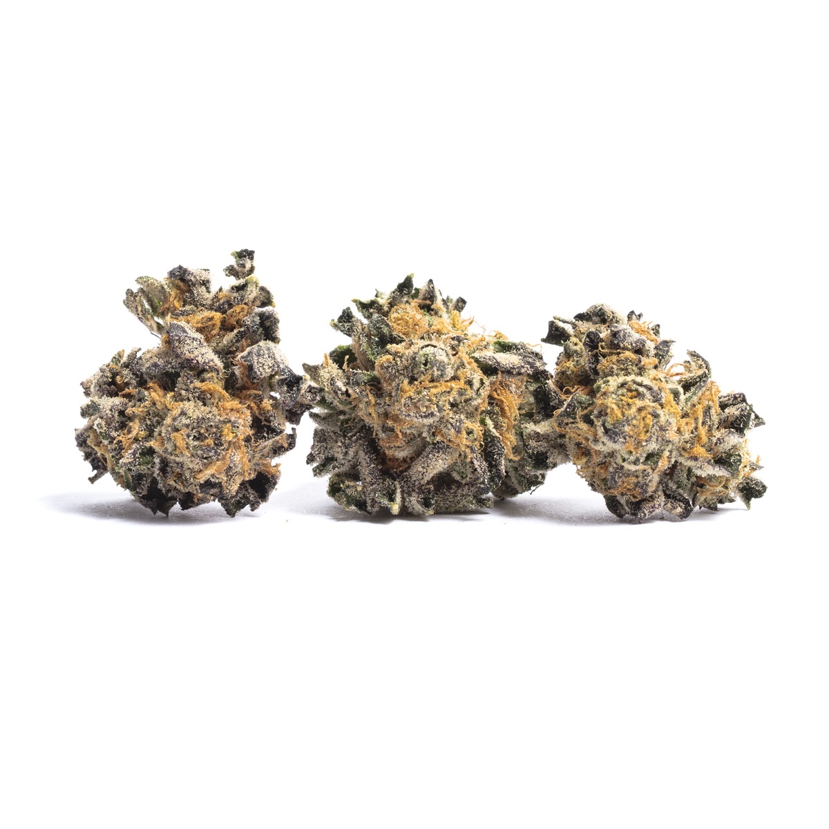 Photo of Tropicana Punch