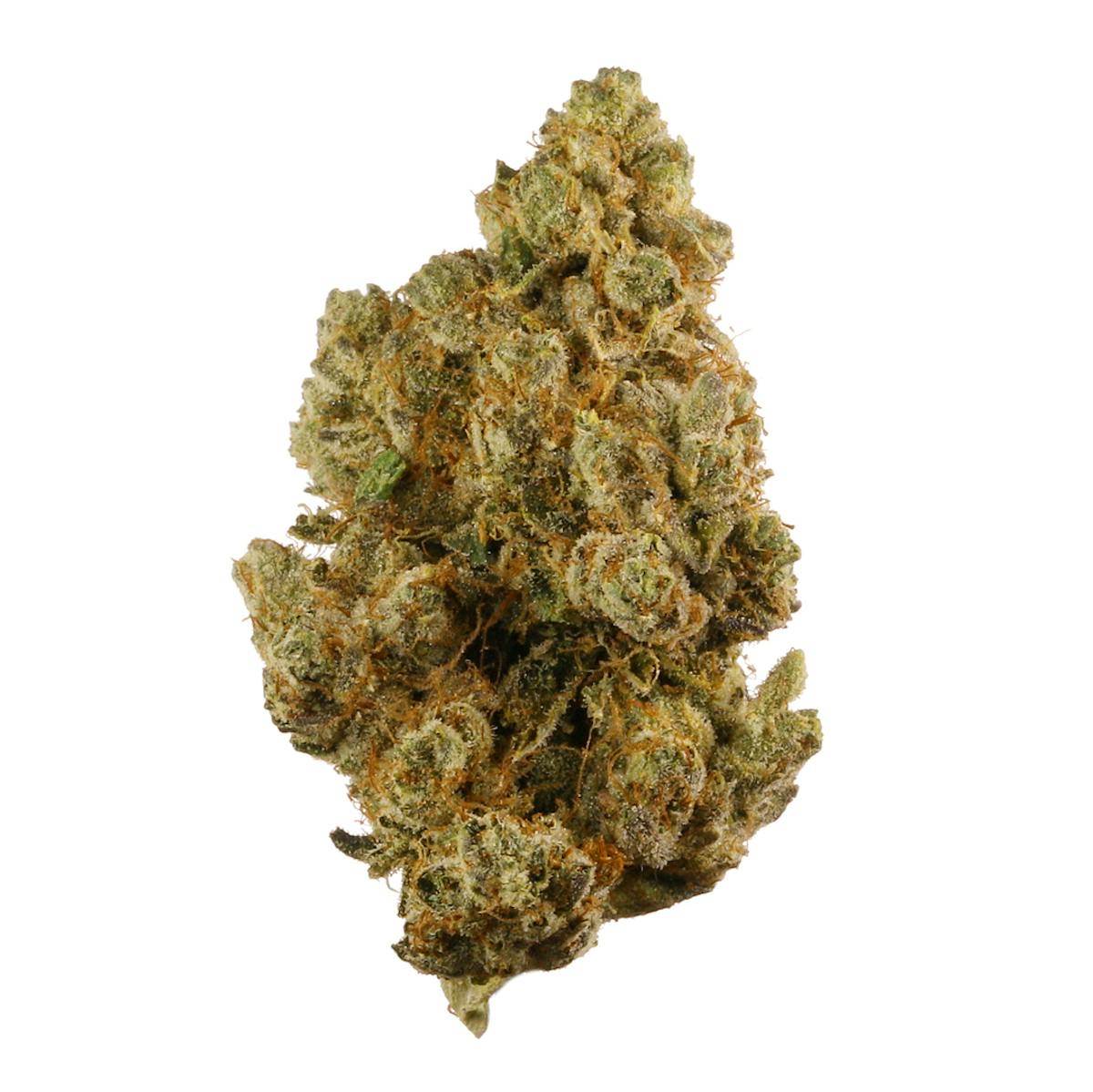 Photo of True OG