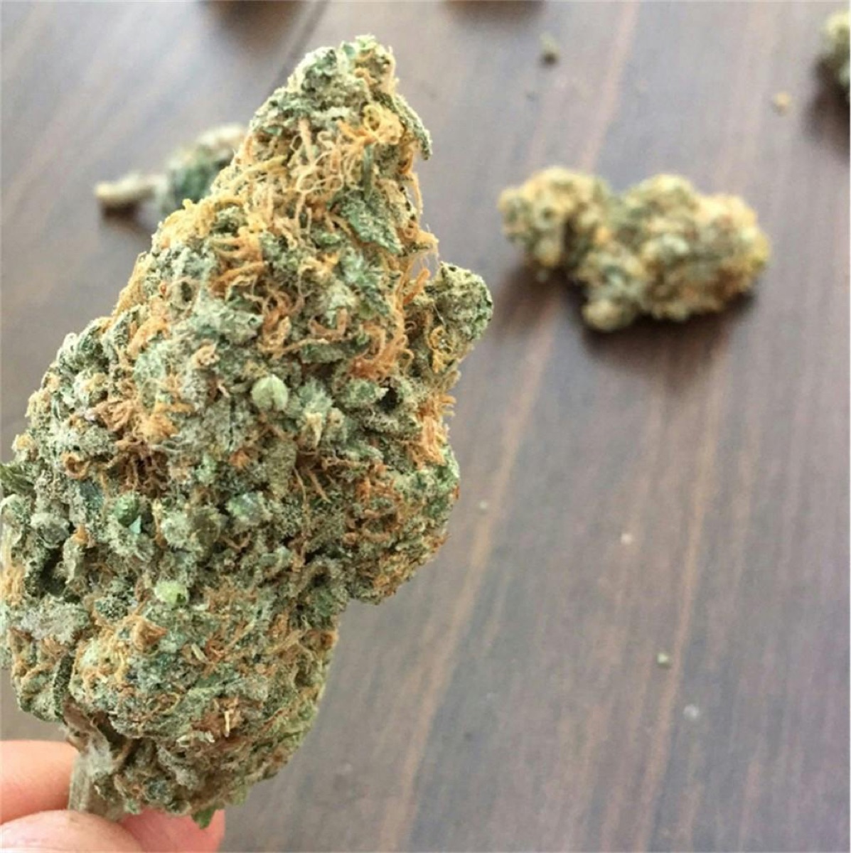 Photo of UK Cheese