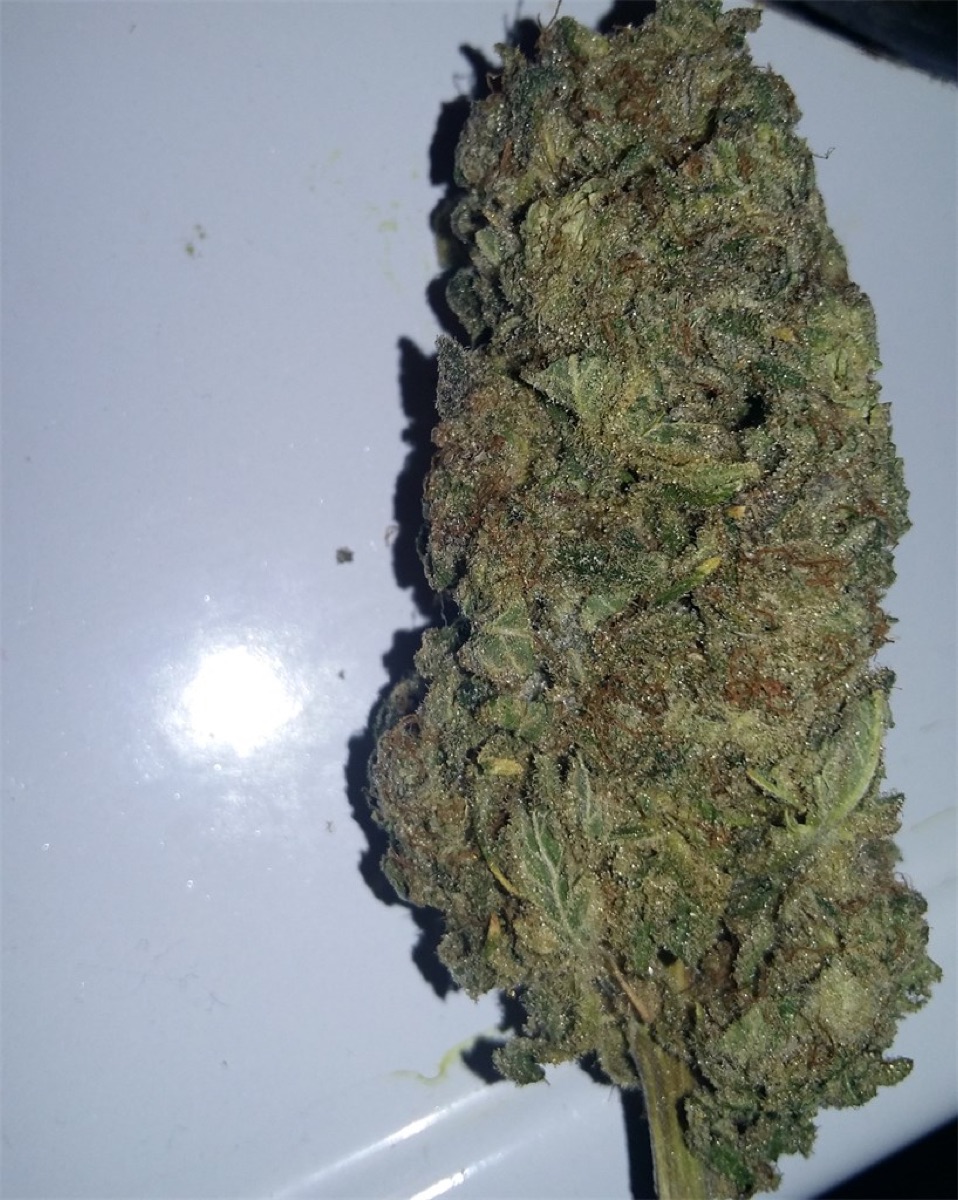 Photo of White Rhino