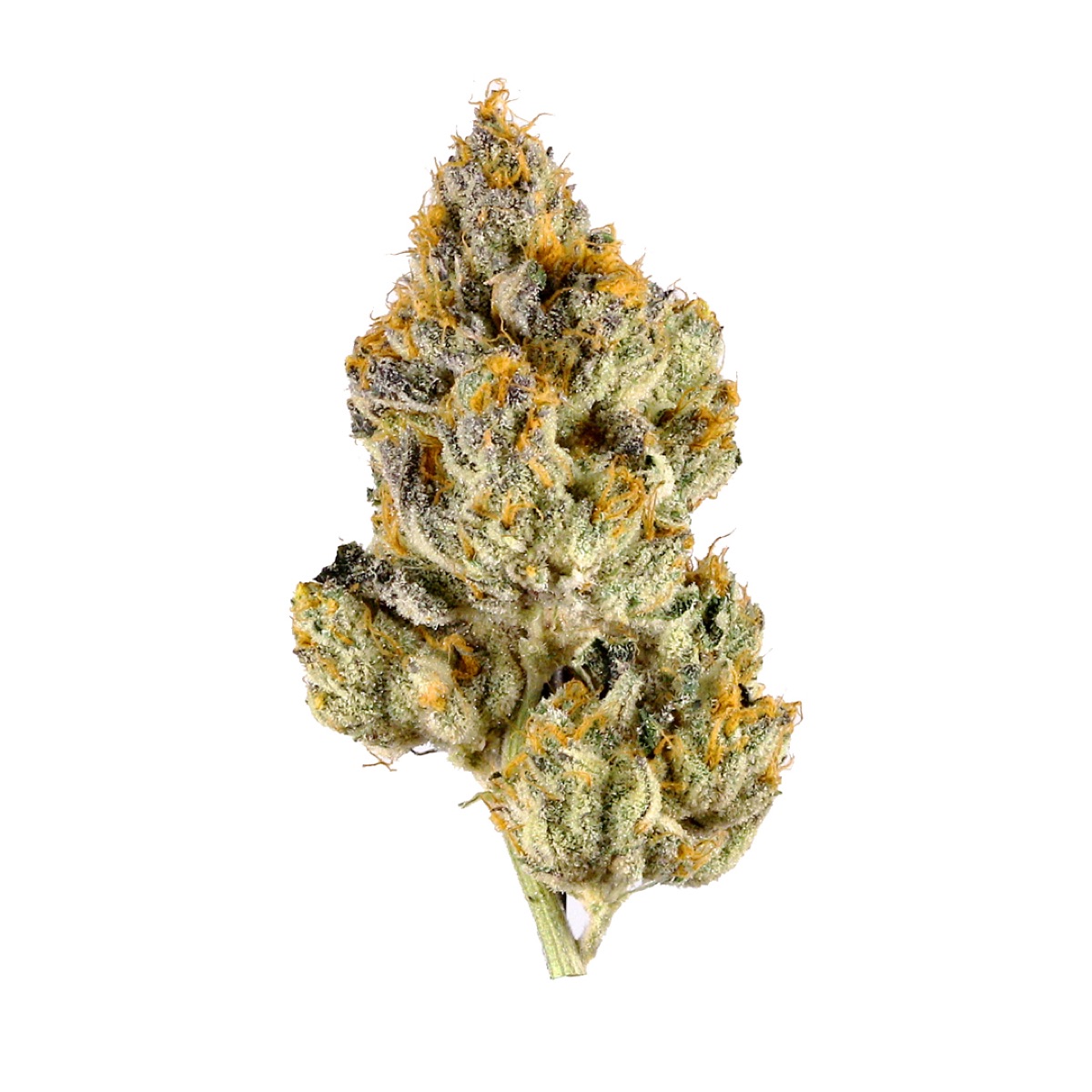 Photo of White Tahoe Cookies