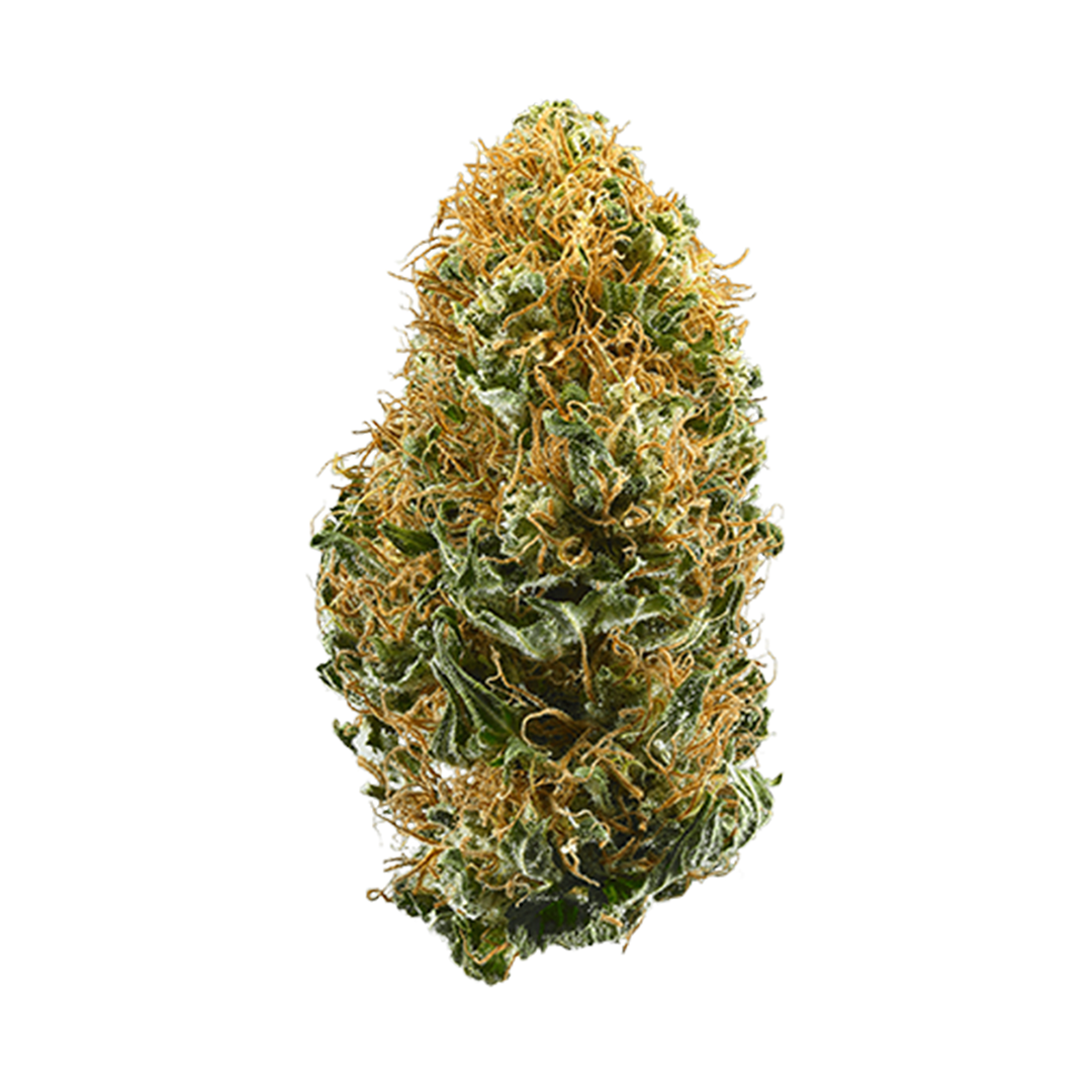 Photo of White Widow