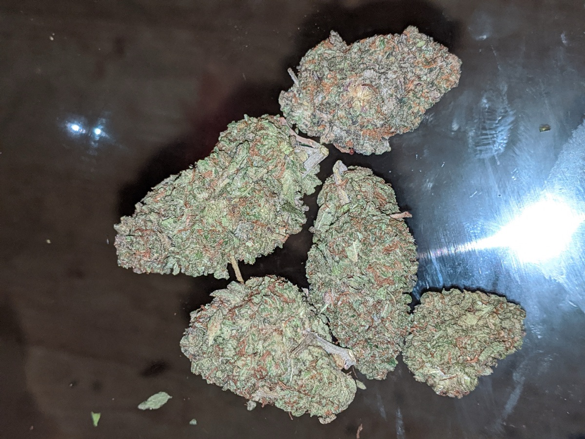 Photo of Zookies